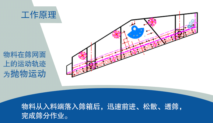 大型草莓视频污黄